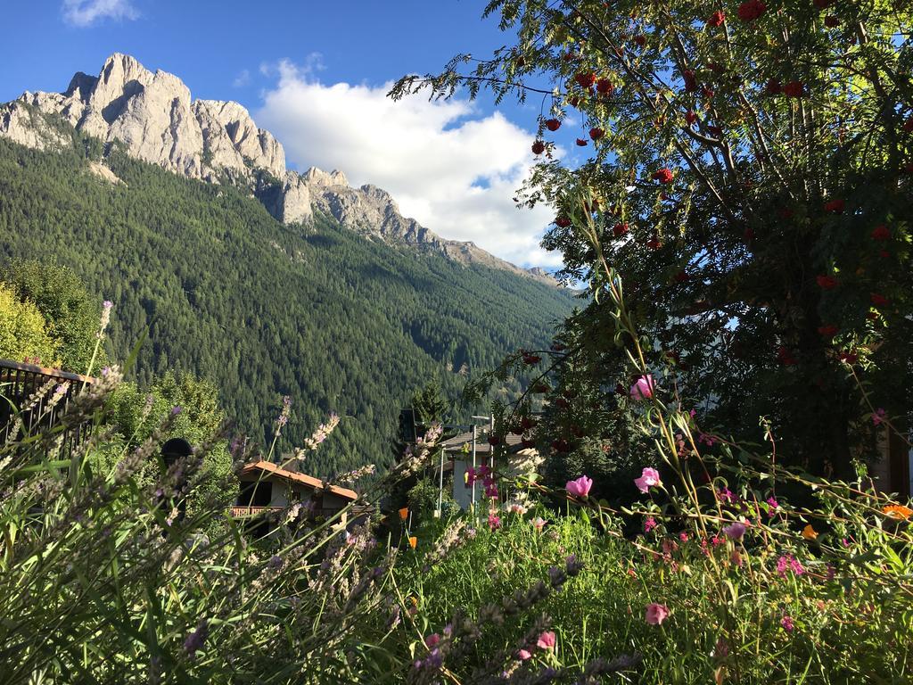 Garni Enrosadira Hotel Vigo di Fassa Exterior foto